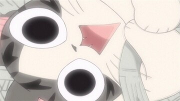 Chi Une Vie De Chat Chi Fait Pipi Partout Ici Tou Tv