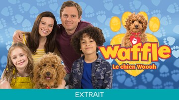 Waffle Le Chien Waouh Ici Toutv
