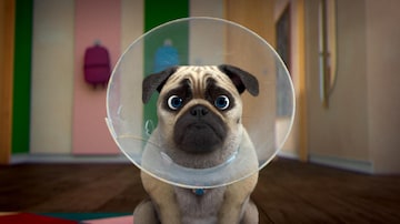 Mike Une Vie De Chien Ici Toutv