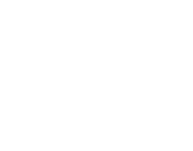Wakfu