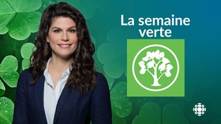 Revoir La semaine verte du 17 Septembre