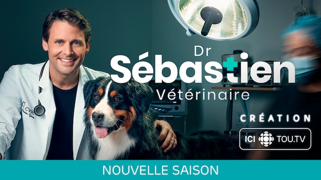 Section 13 Serie Fiction Ou Realite Dr Sébastien, vétérinaire | ICI TOU.TV