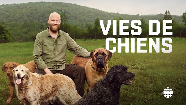 Chien De La Serie En Famille Vies de chiens | ICI TOU.TV