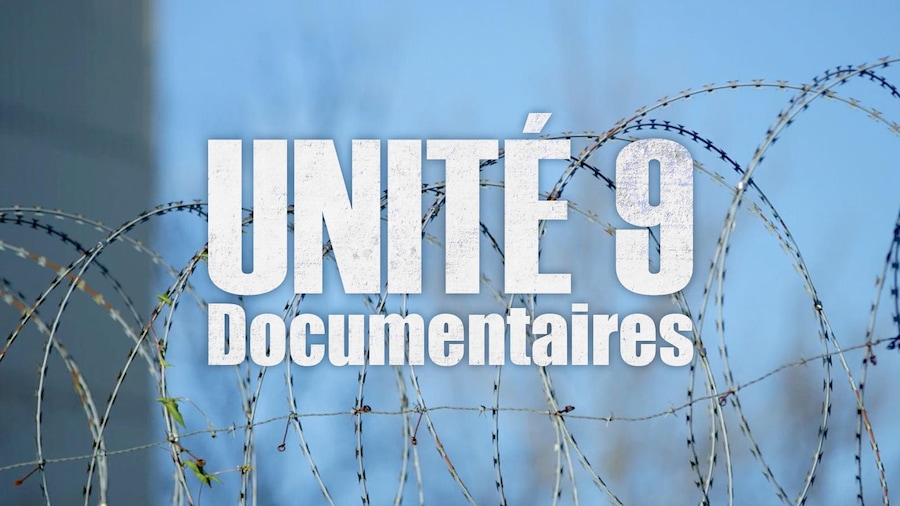 Unité 9 : les IPL